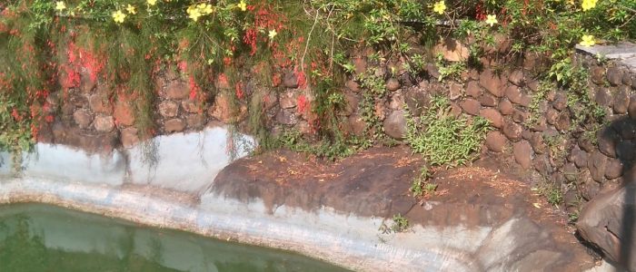 aarey bhaskar garden