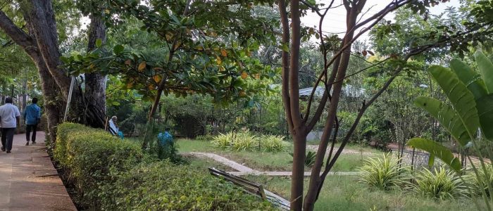alagiri park tvs nagar park 1
