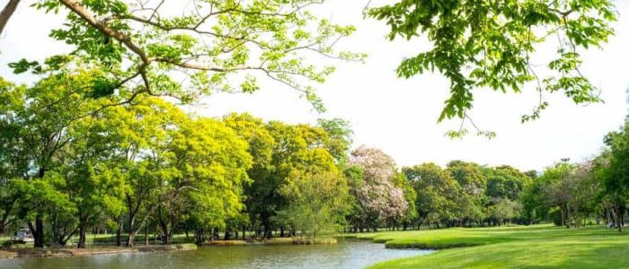 anaiyur park 1
