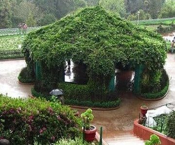 best parks in shillong