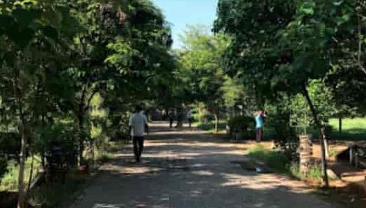 coimbatore municipal park