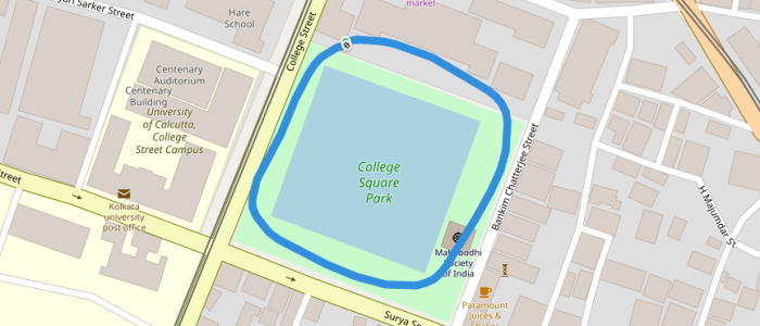college square park 1