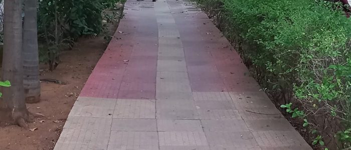 corporation park near ramar templetvs nagar 1
