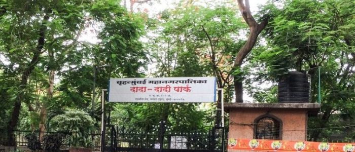 dada dadi park