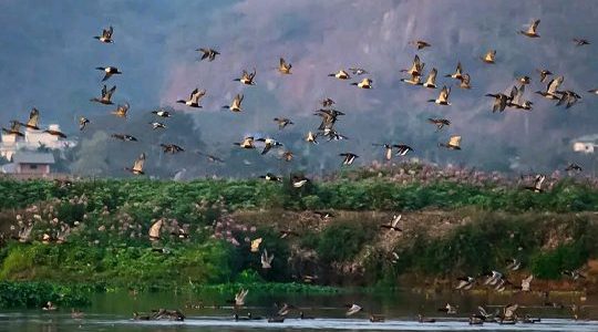 deepor beel wildlife sanctuary
