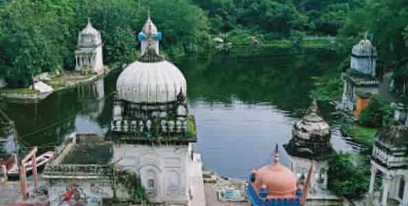 devtal garden and pond