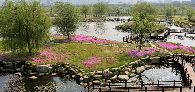 ecological park 1