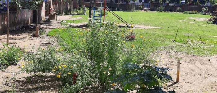 gagan vihar colony garden park