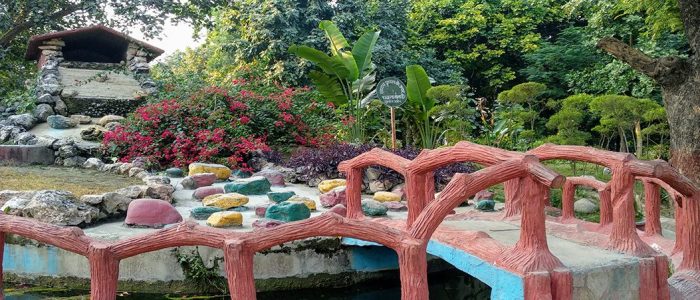 gandhi bagh