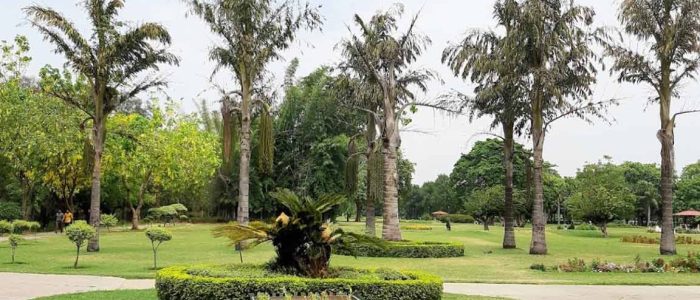 garden of fragrance 36b chandigarh