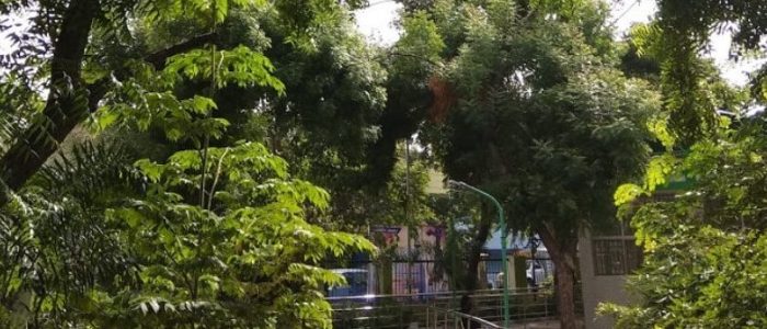independence day park 1