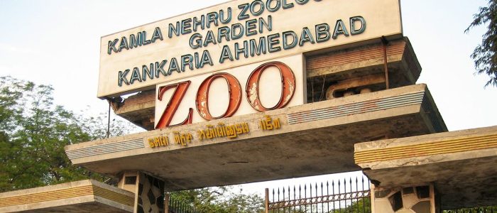 kamla nehru zoological garden 2