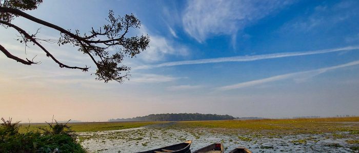 kanvar lake bird sanctuary