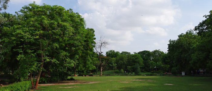 law garden