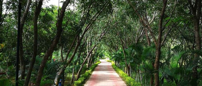 madhusudan das park