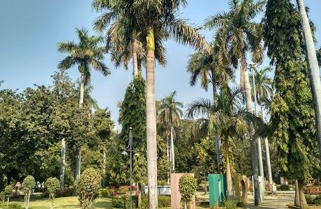 mangalwari park