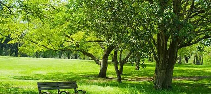 meenakshi puram park 1