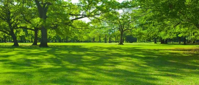 methottuthazham park