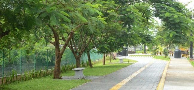 panampilly walkway 1