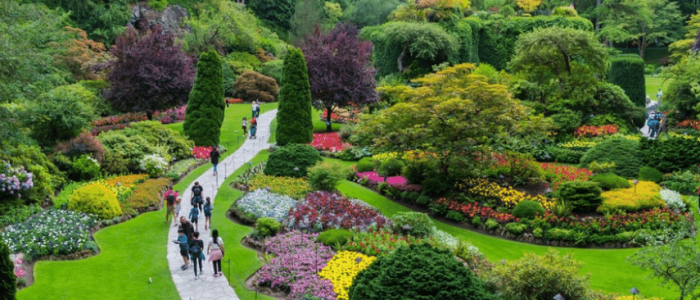 patel park