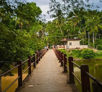 poolakadavu park