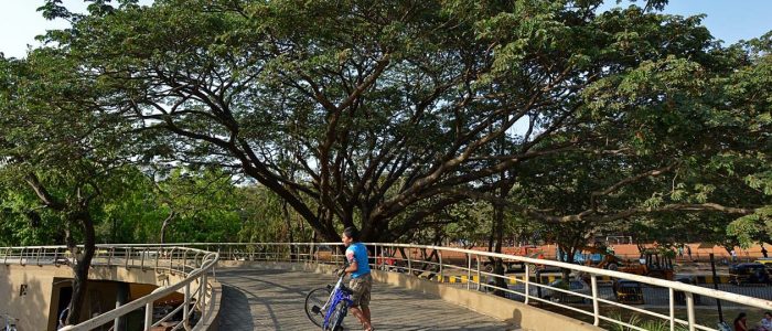 pushpa narsee park