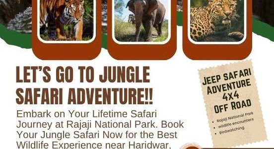rajaji national park safari booking office