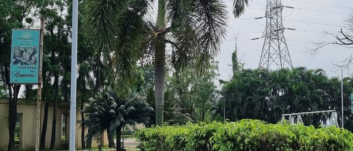 renaissance township park
