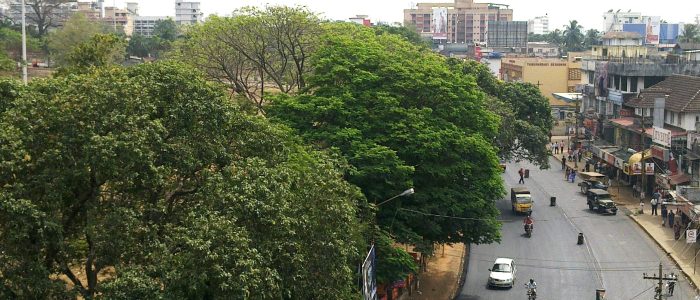 round of thrissur