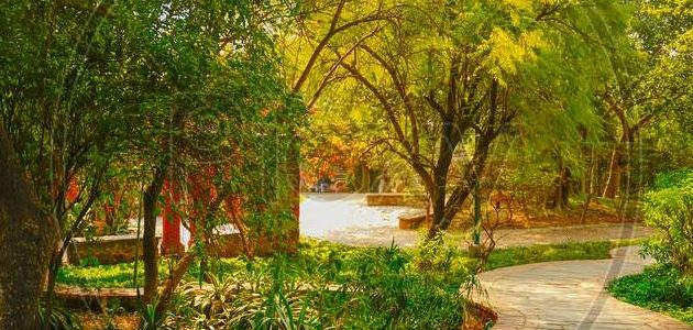 said ul ajaib park