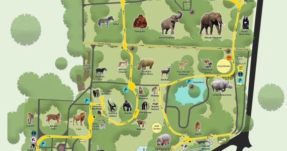 sri chamarajendra zoological gardens mysuru zoo 1