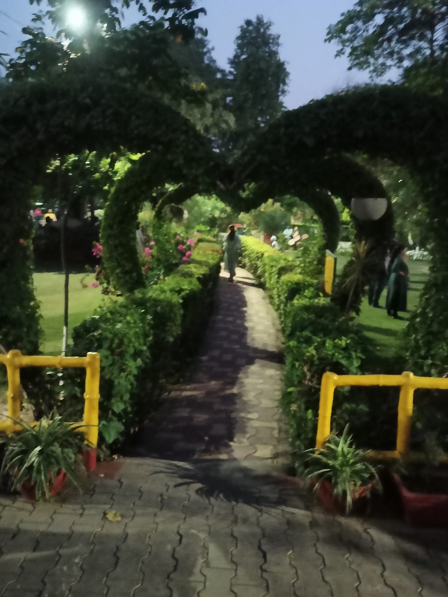 the best parks in ludhiana