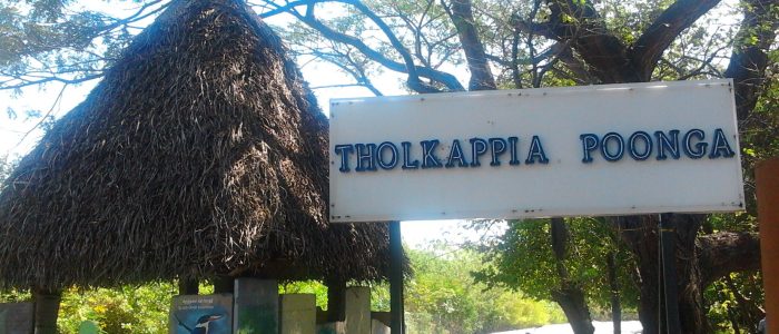 tholkappia poonga adyar eco park 1