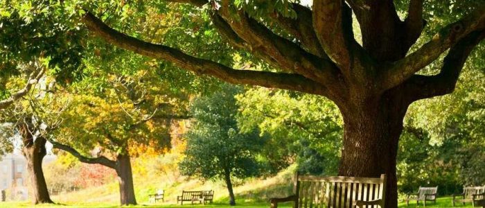 uttam nagar garden 2