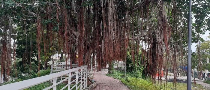 vallabhacharya public park