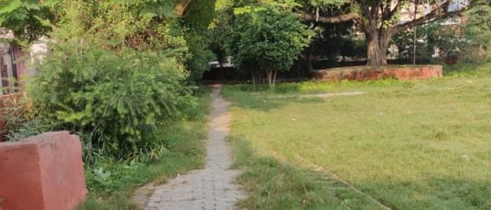 welfare central park